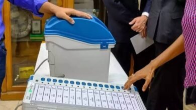 image editor output image 424639609 1706926671738