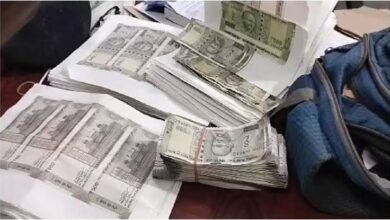 images 2024 02 01T144305.072