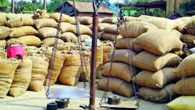 images 2024 02 07T072002.057