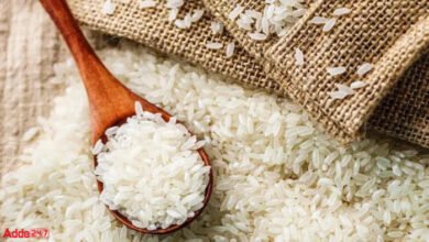 images 2024 02 10T164712.557