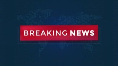 images 2024 02 12T204958.626