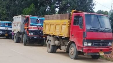 images 2024 02 13T175506.246