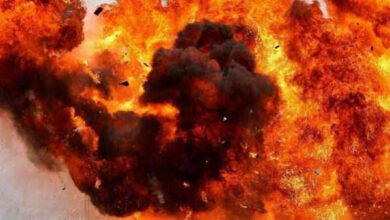 images 2024 02 21T163452.430