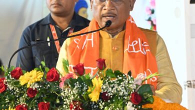 1710089590 393213a9b874d5da0421