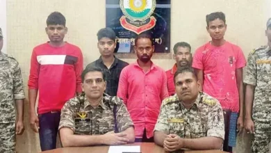 3615156 untitled 70 copy