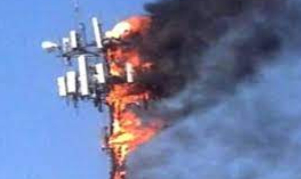 image editor output image844234130 1711616664519