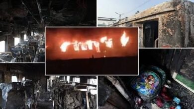 images 2024 03 01T075611.034