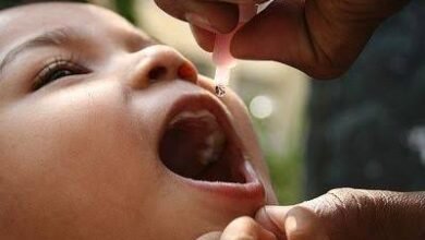 images 2024 03 02T073922.647