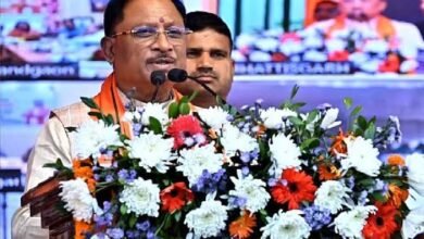 images 2024 03 02T144846.163 2