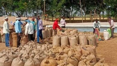 images 2024 03 07T200058.482