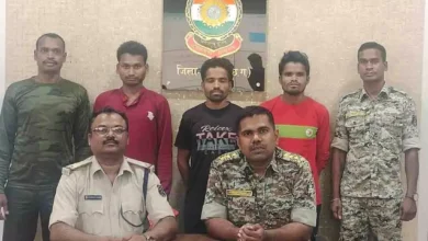 3646397 untitled 57 copy