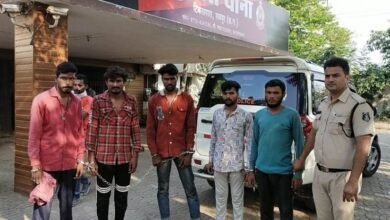 image editor output image 1377384853 1714181994989