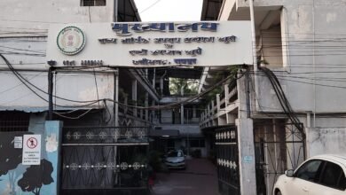 image editor output image 525868783 1713616917518