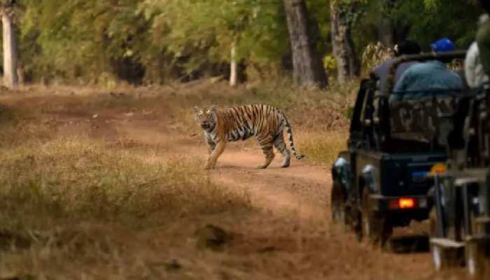 images 2024 04 08T142351.762