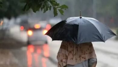 images 2024 04 09T120648.104