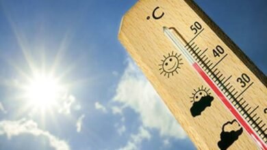 images 2024 04 18T080719.781