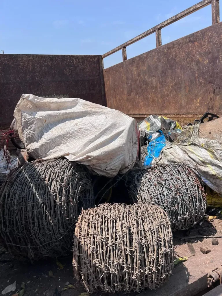 img 20240403 wa001348490841582576172596356684573021091979