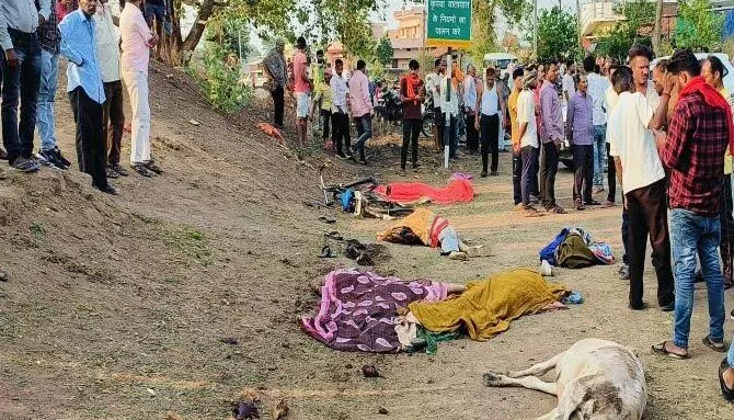 3699197 untitled 22 copy