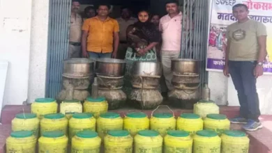 3703404 untitled 28 copy