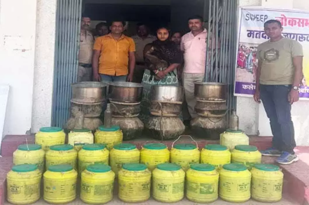 3703404 untitled 28 copy