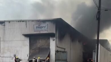 VideoCapture 20240529 174611