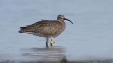 image editor output image 1293710117 1716197433171