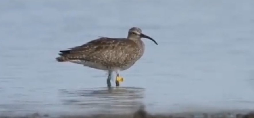 image editor output image 1293710117 1716197433171