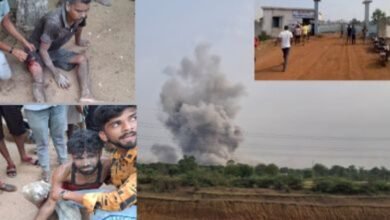 image editor output image 1800487350 1716614306251