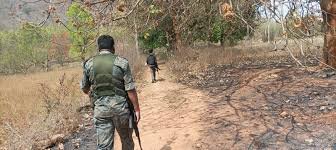 images 2024 05 10T124506.724