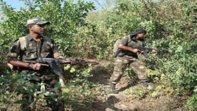 images 2024 05 18T103246.234