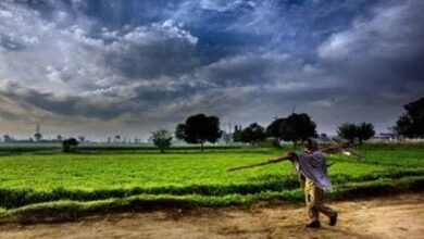 images 2024 05 20T073905.724