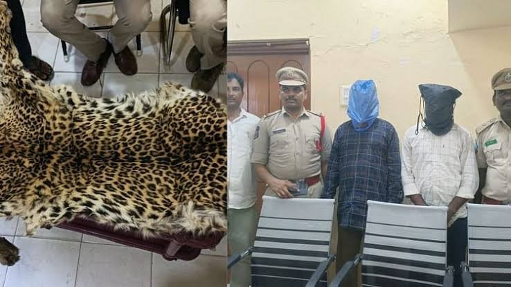 छत्तीसगढ़ : तेंदुए की हत्या कर खाल बेचने जा रहे दो आरोपियों को पुलिस पकड़ा 1 images 2024 05 23T141014.018