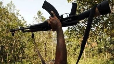 images 2024 05 24T145420.800