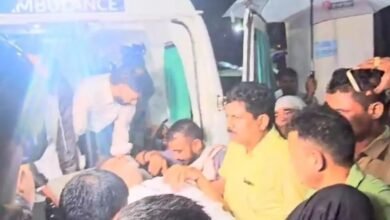 1500x900 3801902 untitled 9 copy 1024x614 1