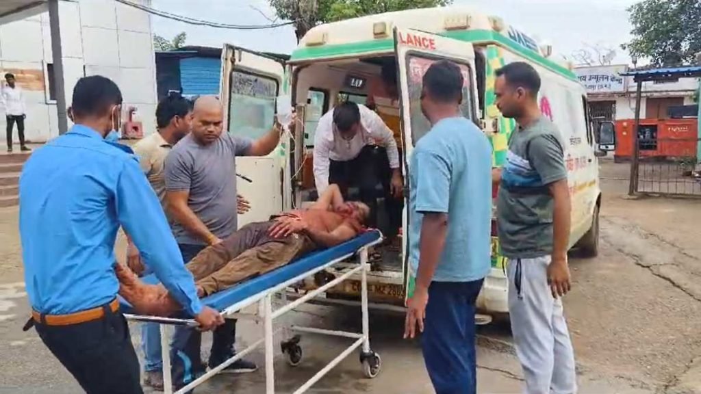 image 18 33 1024x576 1