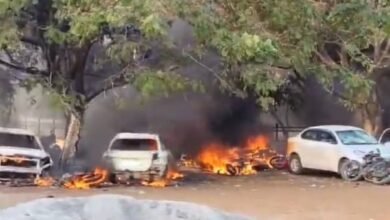 images 2024 06 11T120424.590