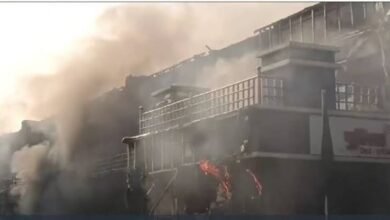 images 2024 06 13T162259.308