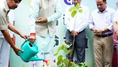 1720074307 cc762e43c3de49a72bbc