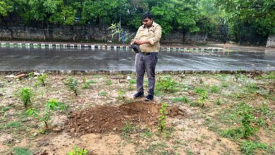 1720609516 14c8933eb5e50e0288c6