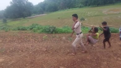 1721120749 1fc70c0987739a4945ec