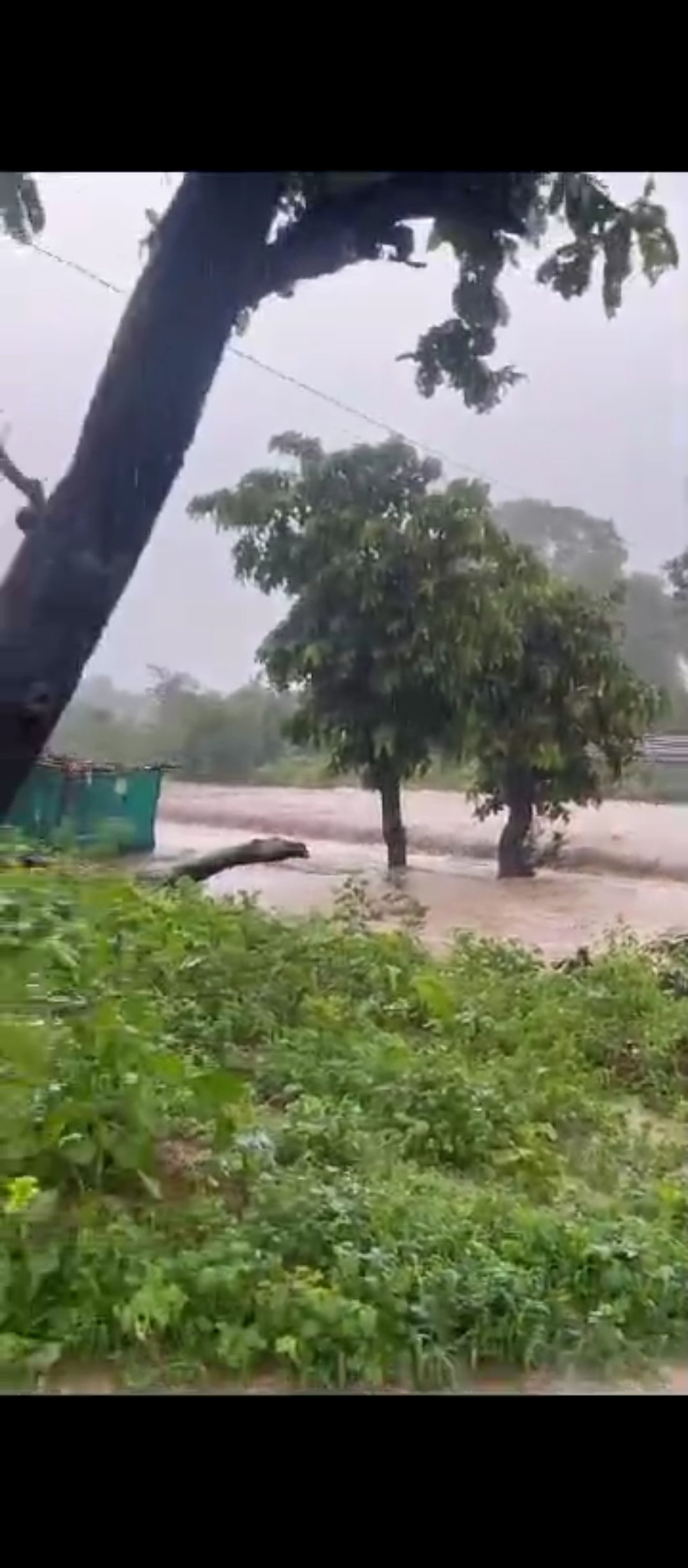 Screenshot 2024 07 20 14 18 05 335 com.whatsapp