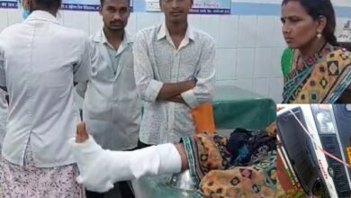 image editor output image 533365074 1720862406921