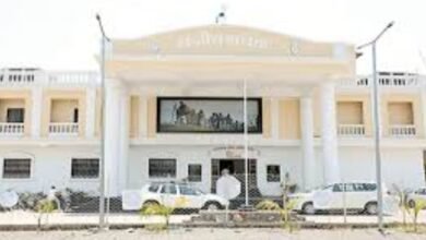 image editor output image443460422 1720506467836