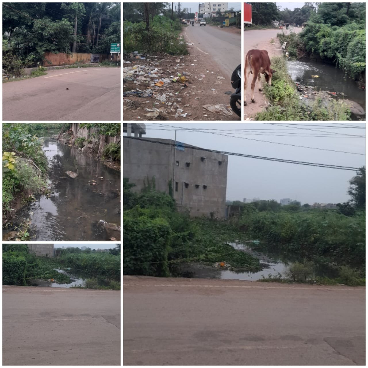 सरोना में नाले पर भू-माफियाओं ने किया कब्जा,पानी निकासी नहीं होने से जल भराव 1 IMG 20240828 WA0021
