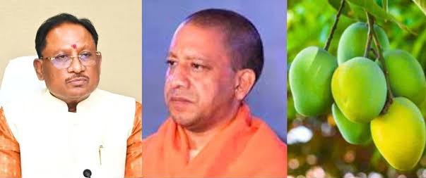 योगी आदित्यनाथ ने CM विष्णुदेव साय को उपहार में भेजा आमों का टोकरा, CM साय ने कहा – इन आमों में बसी हैं भगवान श्री राम की यादें, यह उपहार पाकर मैं अत्यंत भावुक और अभिभूत हूं 1 image editor output image 1536389165 1723308888244