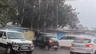 4264369 rain 1