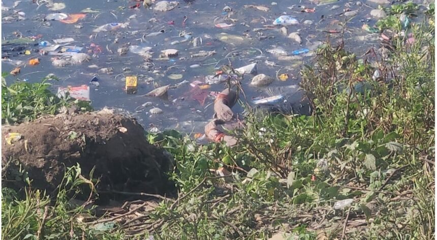 Untitled 50 860x472 1