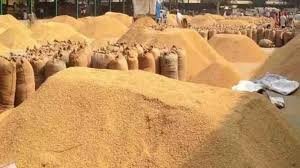 छत्तीसगढ़ में धान खरीदी का नया कीर्तिमान: 25 लाख किसानों ने बेचा धान, 145 लाख मीट्रिक टन पार, 29 हजार 599 करोड़ रुपए का भुगतान हुआ, उठाव में भी तेजी 1 images 13 10