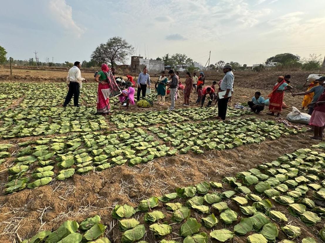 Chhattisgarh Govt to Relaunch Charan Paduka Scheme for Tendu Leaf Collectors on Saturday<br> 1 IMG 20250619 WA0017
