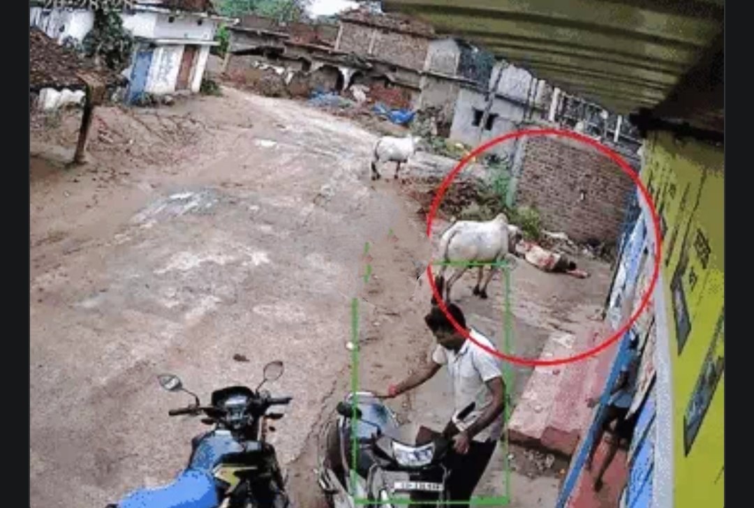 गरियाबंद में सांड के हमले से महिला की मौत: आवारा मवेशियों पर नियंत्रण को लेकर ग्रामीणों में आक्रोश 1 IMG 20250617 132739